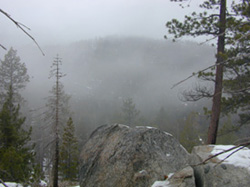 Christmas Valley in fog, above the South Upper Truckee Trail head in Meyers.